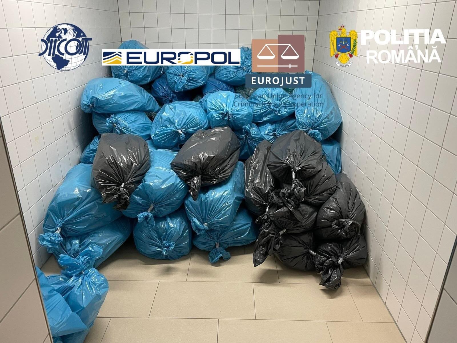 Grupare internaționakă de traficanți