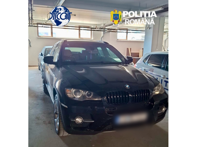 Scalvie modernă, grupare condusă de o femeie
