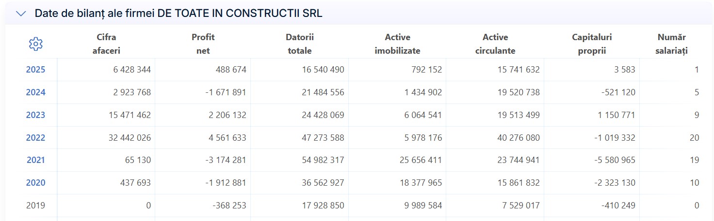 Ioana Șufană De Toate în Construcții SRL