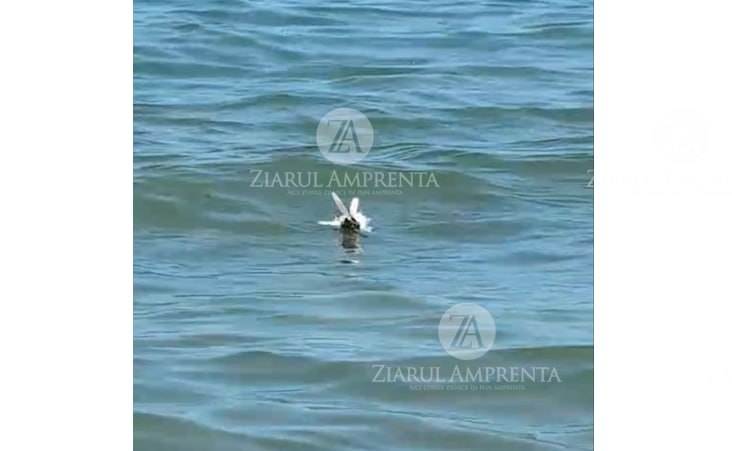 Posibile resturi de dronă în zona plajei Crowne Plaza din Mamaia Nord: Polițiștii au ajuns fața locului