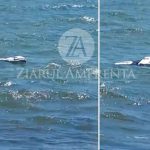 VIDEO O posibilă dronă, observată la capătul digului de la Midia: Fragmente de dronă, descoperite și în sudul litoralului