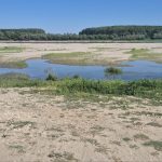 FOTO Imagini CUTREMURĂTOARE: Cum arată râul Rasova, cu Dunărea secată! Guvernul a aprobat lucrări de dragaj la Cochirleni
