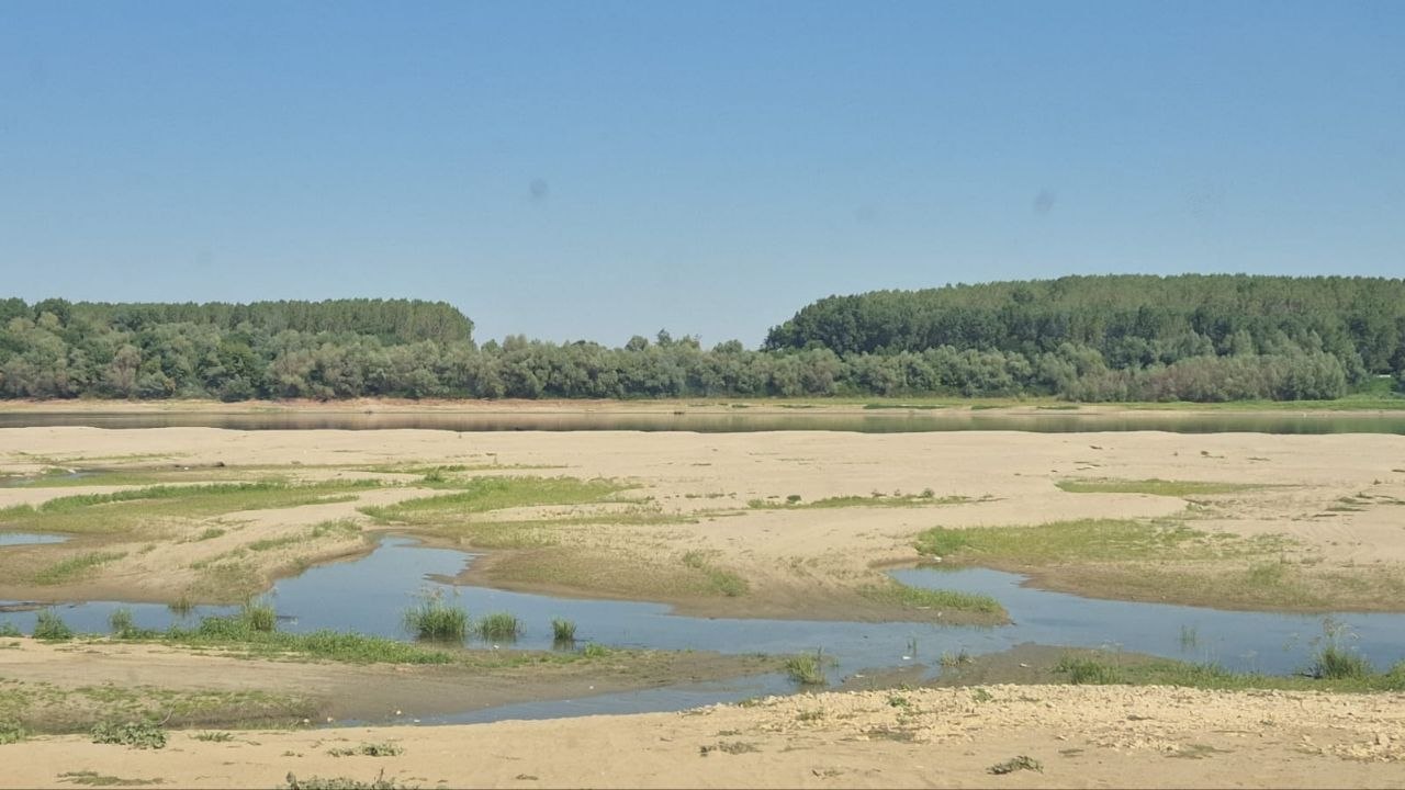 APIA, informații IMPORTANTE pentru agricultorii afectați de secetă! Iată ce trebuie să facă în termen de 15 zile lucrătoare