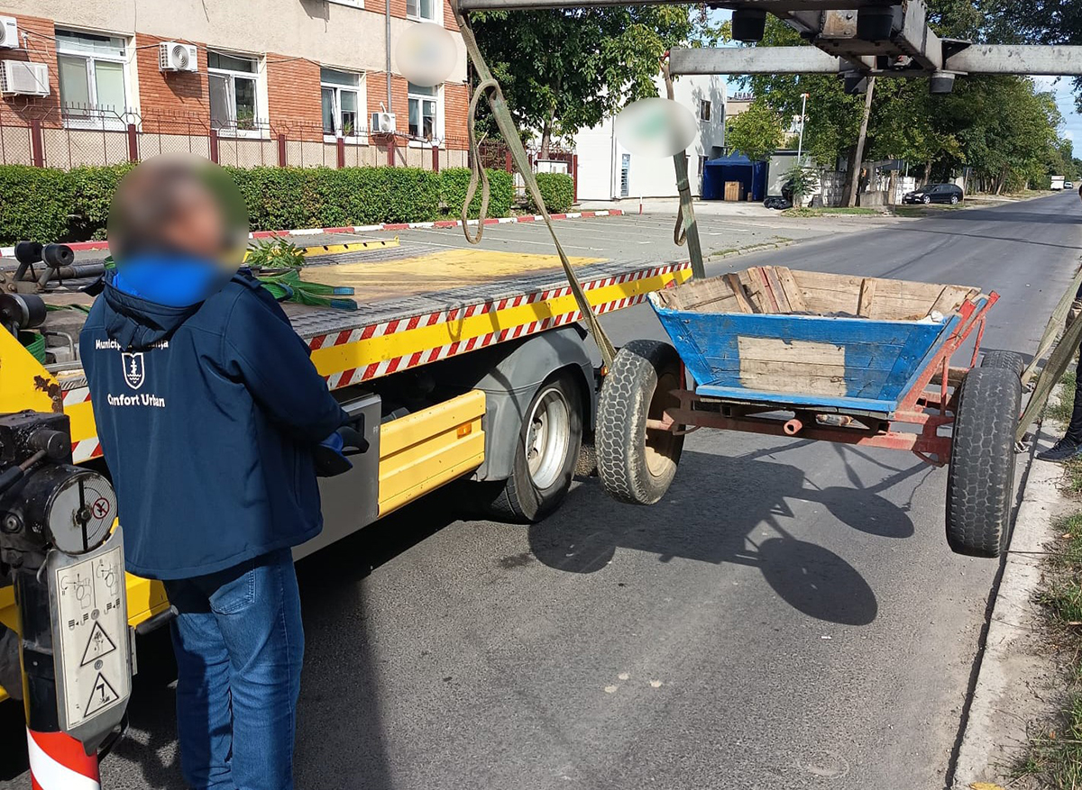 FOTO Căruță trasă de cal, depistată pe strada Celulozei din Constanța: Vehiculul, ridicat de polițiștii locali