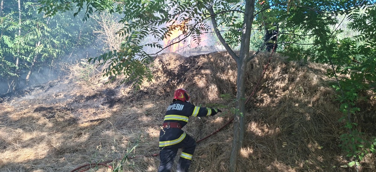 FOTO Incendiu VIOLENT aproape de localitatea Greci, din județul Tulcea! Focul de la vegetația uscată s-a extins la fondul forestier