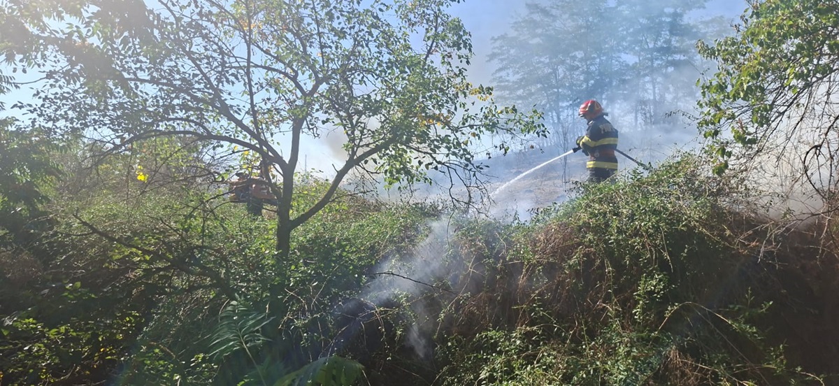 incendiu Greci