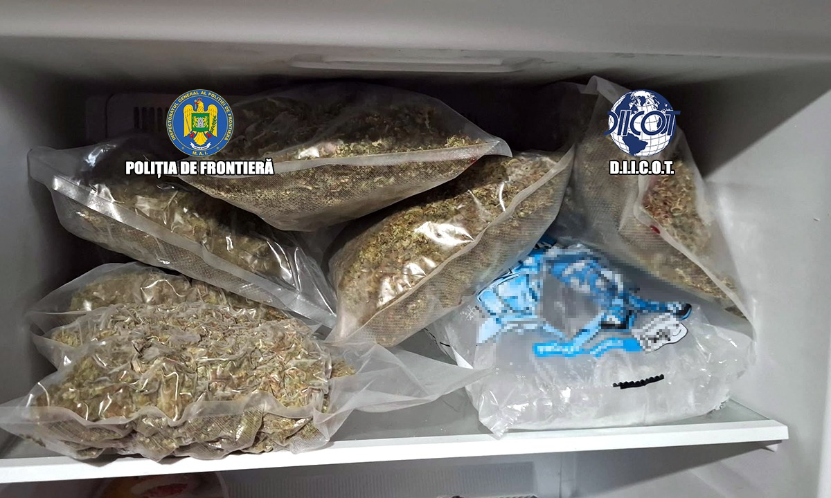 Canabis indoor