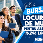 Ești absolvent și vrei să îți găsești un loc de muncă în Constanța? Astăzi este momentul!