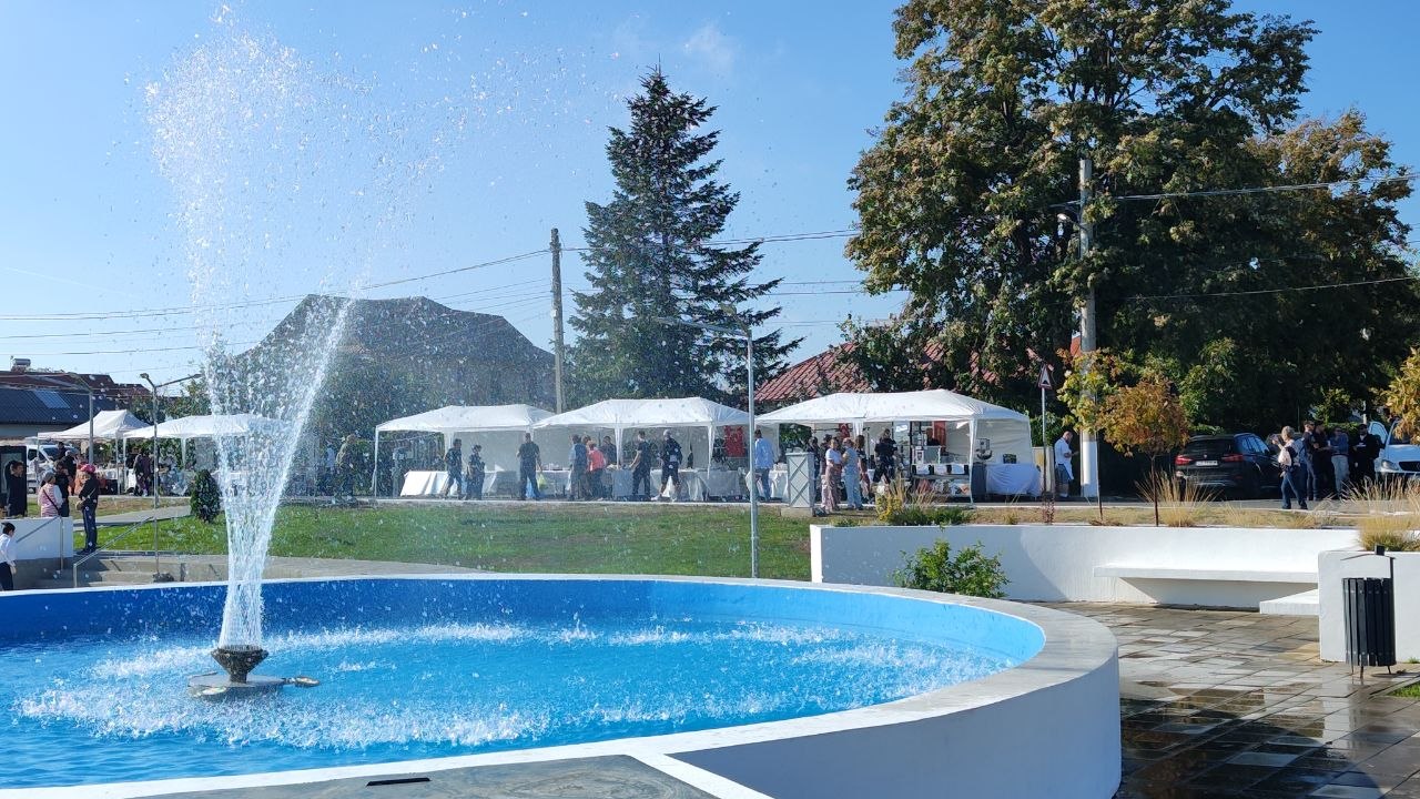 Festivalul Sărmăluțelor Cumpăna Mariana Gîâju